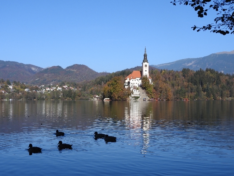 13 Lago di Bled
